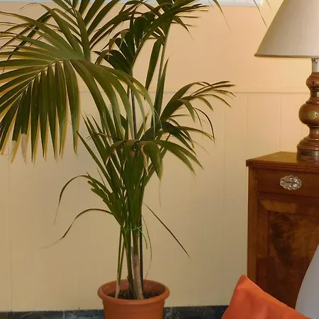 Hotel Park 3*